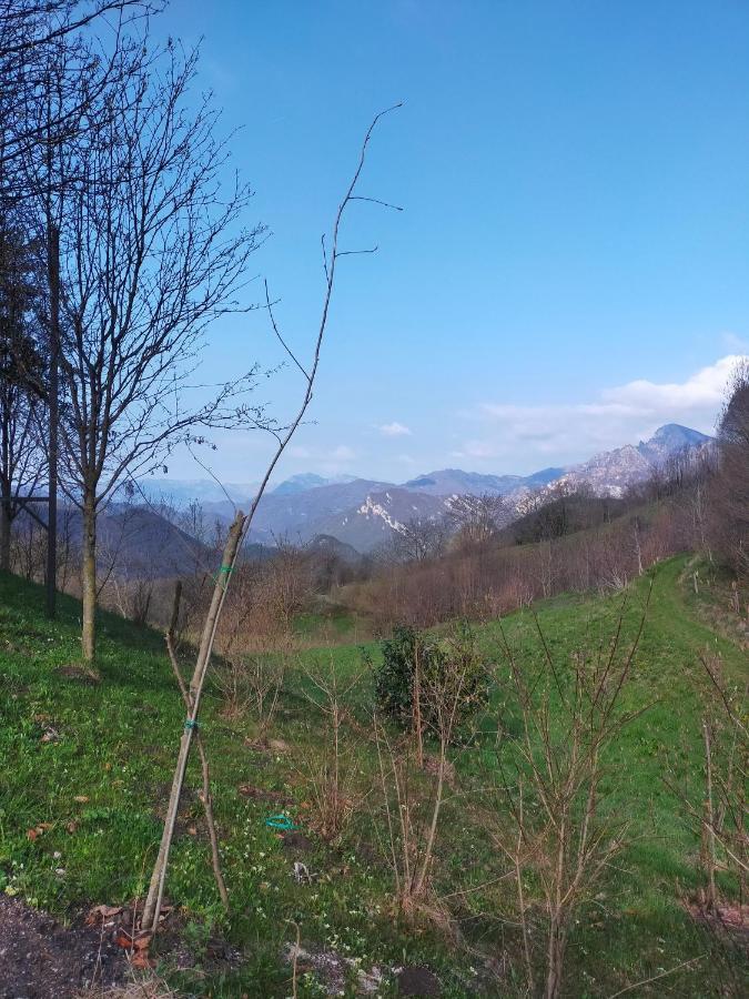 Chalet Simonetta - Locanda Da Tullio Capovalle Zewnętrze zdjęcie